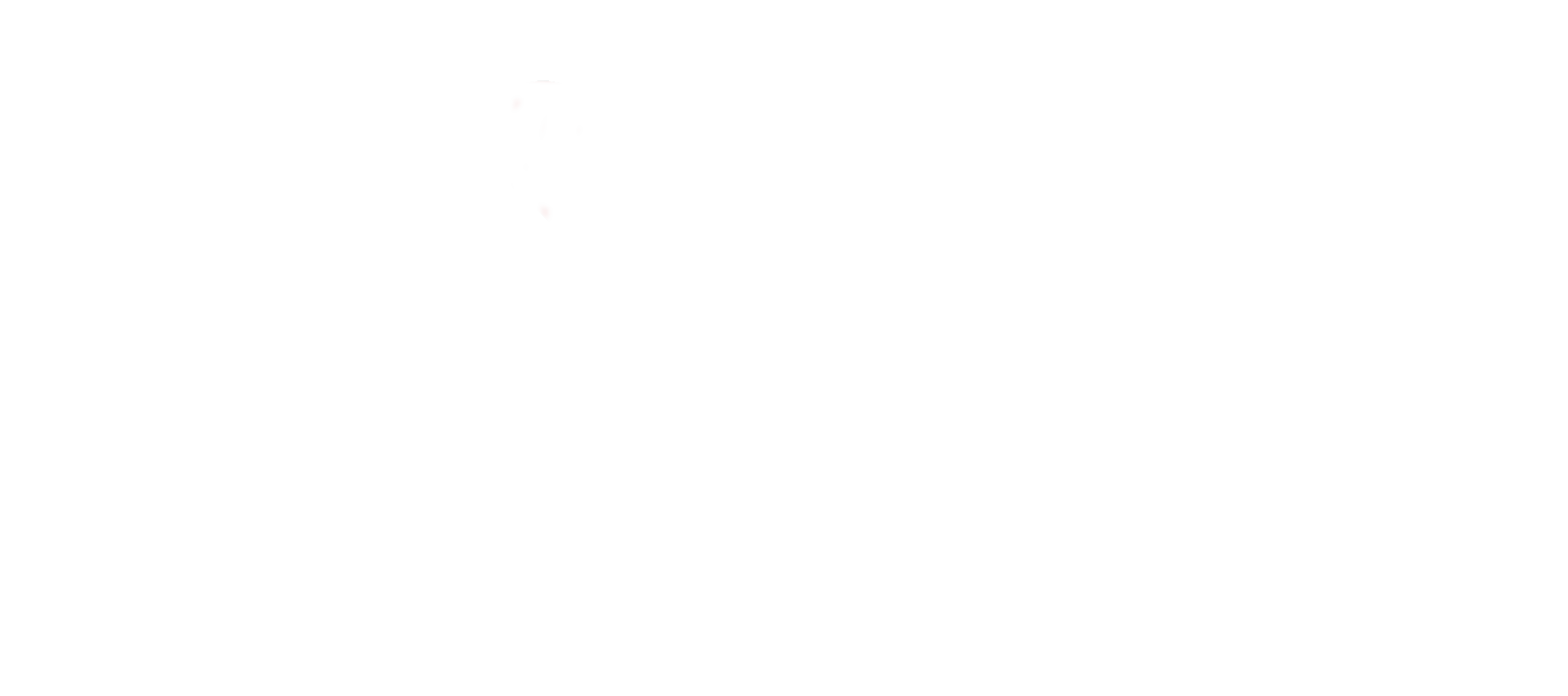 Wigan Council